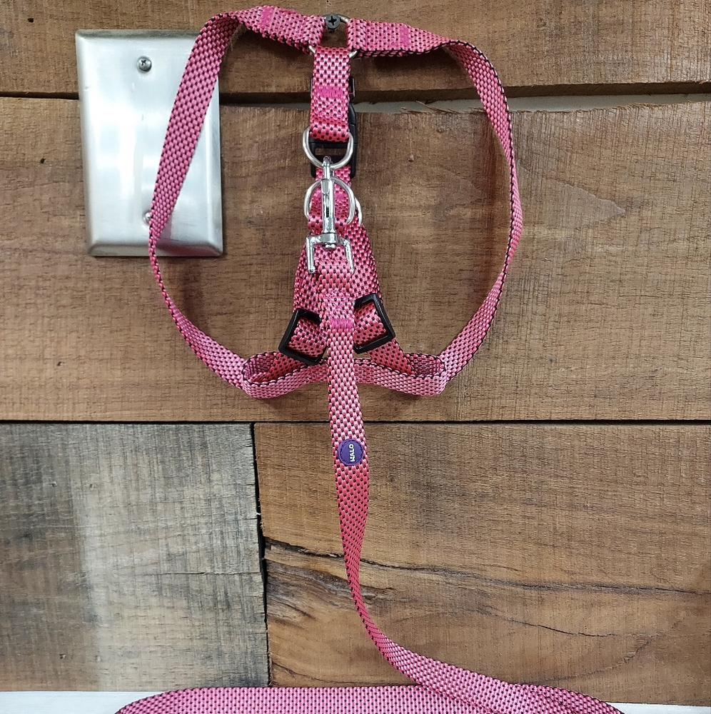Halo dog harness and lead